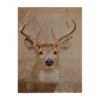 Stag Damask Wall Plaque - 30x40cm -Home Furniture 14820974 1595057940367068