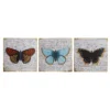 Set Of 3 Butterfly Wall Plaques - 20x20cm 1 Set Of 3 Butterfly Wall Plaques - 20x20cm -Home Furniture 14820977 1615057935827906