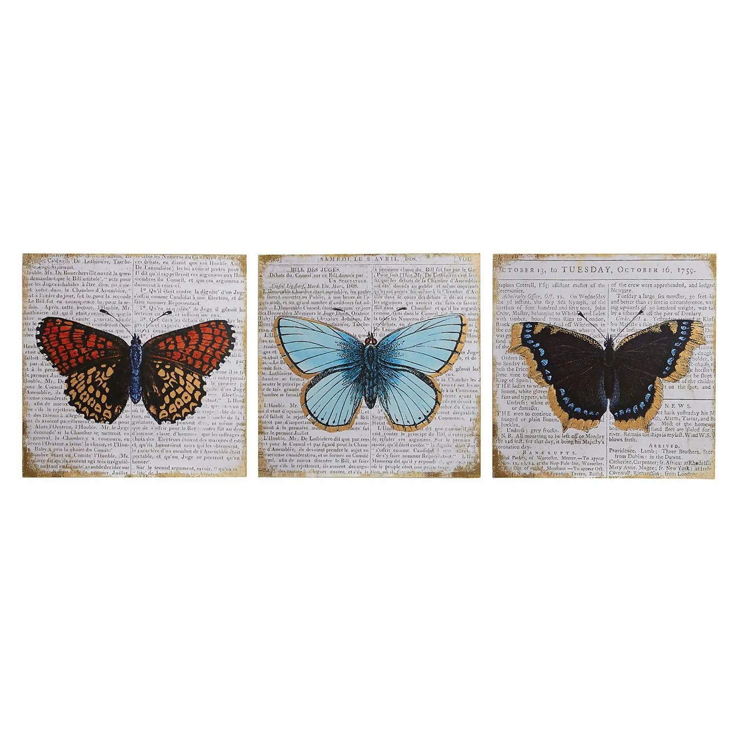 Set Of 3 Butterfly Wall Plaques - 20x20cm 3 Set Of 3 Butterfly Wall Plaques - 20x20cm